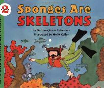 Sponges Are Skeletons