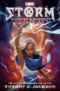 Storm: Dawn of a Goddess