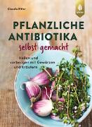 Pflanzliche Antibiotika selbst gemacht