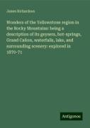 Wonders of the Yellowstone region in the Rocky Mountains: being a description of its geysers, hot-springs, Grand Cañon, waterfalls, lake, and surrounding scenery: explored in 1870-71