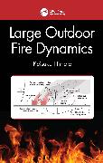 Large Outdoor Fire Dynamics