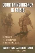 Counterinsurgency in Crisis