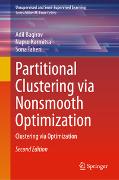 Partitional Clustering via Nonsmooth Optimization