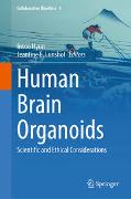 Human Brain Organoids