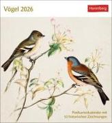 Vögel Postkartenkalender 2026 - Postkartenkalender mit 53 historischen Zeichnungen