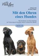 Mit den Ohren eines Hundes