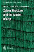 Xylem Structure and the Ascent of Sap