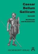 Bellum Gallicum. Wortkunde und Kommentar