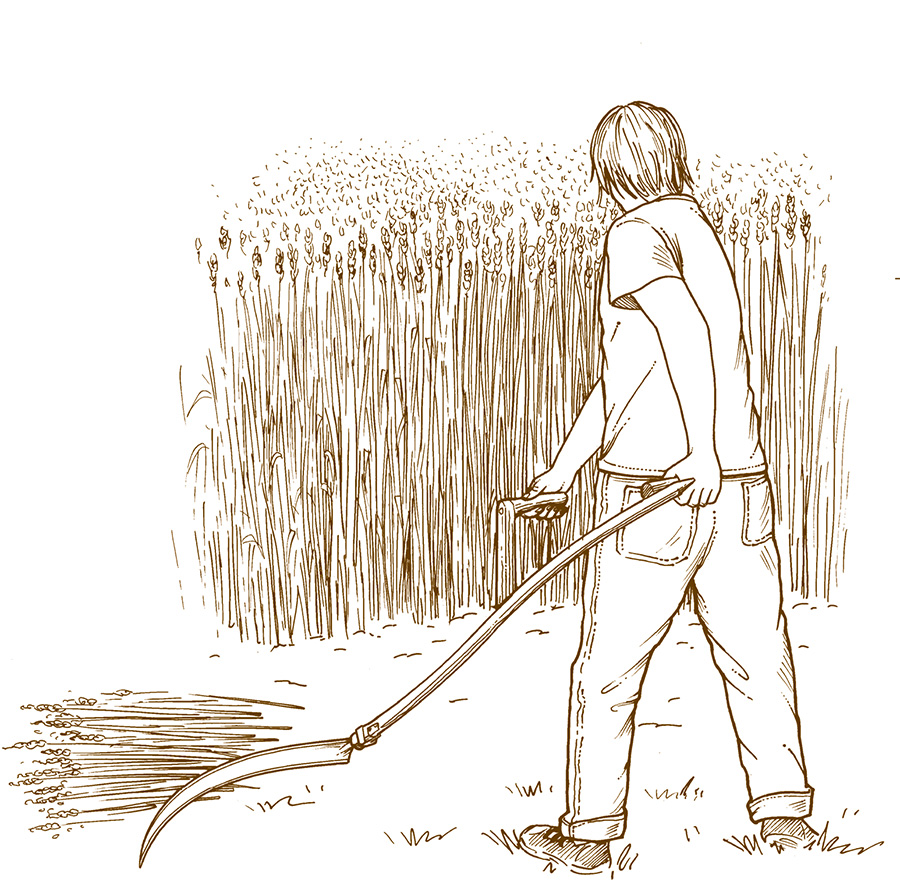 Die Sense &#8211; Möglichkeiten und Vorteile für die Gartenarbeit (Teil 2)